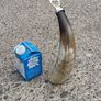 12 Inch Australian Bull Horn Bottle Opener Image 2