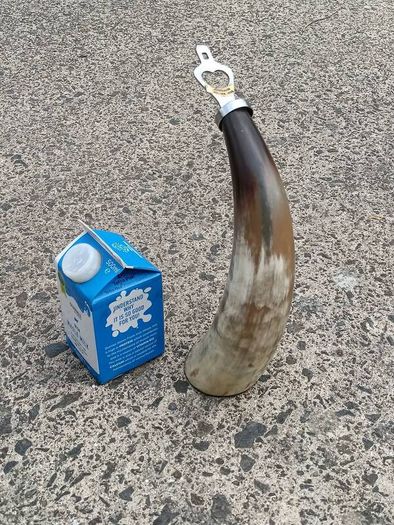 12 Inch Australian Bull Horn Bottle Opener