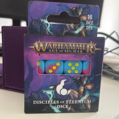 Age of Sigmar Disciples of Tzeentch Lot