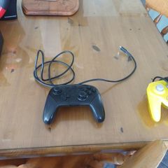 Nintendo
