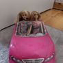 Barbie dolls and car Image 3