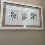 Paul Costello wild flower Pictures Image 3