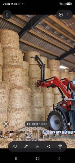 Bale giraffe handler