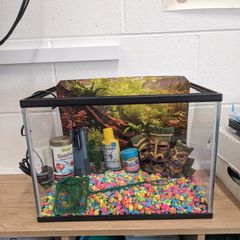 Fish Tank