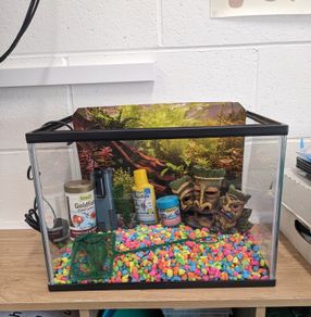Fish Tank