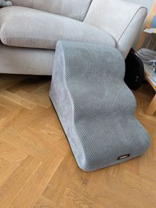 Dog ramp