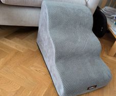 Dog ramp