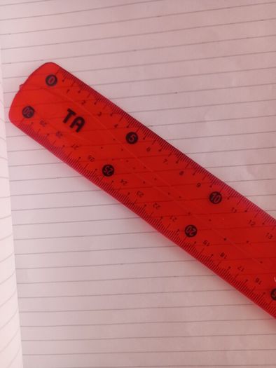 Red Flexible see thru ruler