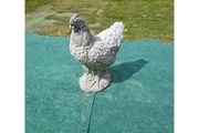 Chicken-GL-BR005