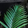 Beautiful Artificial Flower from Avoca NEW! Image 3