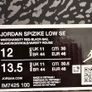 Air Jordan Spizike Low SE "Do The Right Thing" Image 5