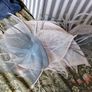 Designer Fascinator by Suzie Mahony Designs Image 2