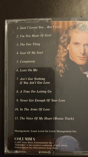 Michael Bolton  - The One Thing.
