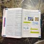 Active Maths 4 book 1 year 6th Image 2