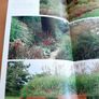 Grasses and bamboos (book) Image 7
