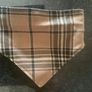 Dog Lead , Collar & Matching Bandanna Image 4