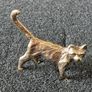 3 brass cats,. Solid brass. Image 7