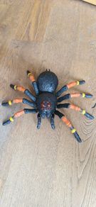 Toy tarantula