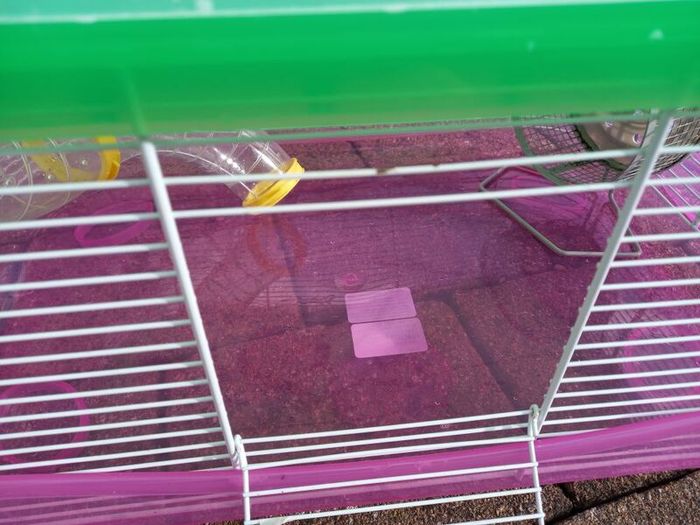 Hamster Cage