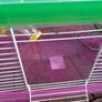 Hamster Cage Image 5