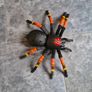 Toy tarantula Image 2