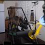 Dog Carpet Mill Self Propelled Treadmill Heavy Duty Professional Image 4