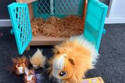 Little Live Pets