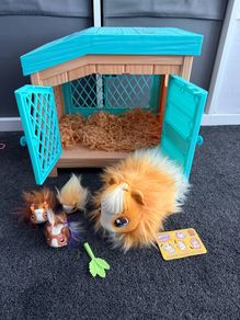 Little Live Pets