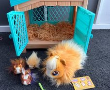Little Live Pets