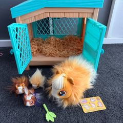 Little Live Pets