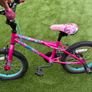 Girls Bike Image 3
