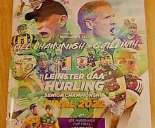 Galway v Kilkenny & Antrim v Kerry 2022 Hurling McDonagh & Leinster Finals