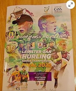 Galway v Kilkenny & Antrim v Kerry 2022 Hurling McDonagh & Leinster Finals