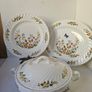 Aynsley Cottage Garden Dinner Set for 8 person Image 4