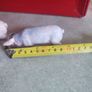 SET OF  2  Schleich Pink Pig Figure USED Made In Germany Image 3