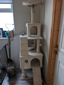 Cat tree