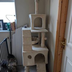 Cat tree
