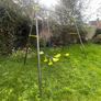 Swings Image 5