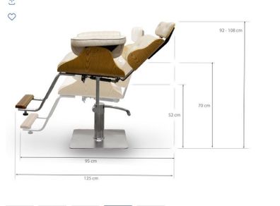 Barber beauty Chair
