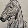 Arkle Framed Drawing/Print Image 2