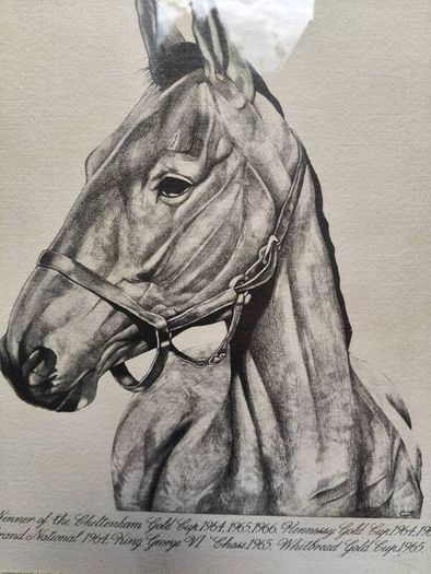 Arkle Framed Drawing/Print