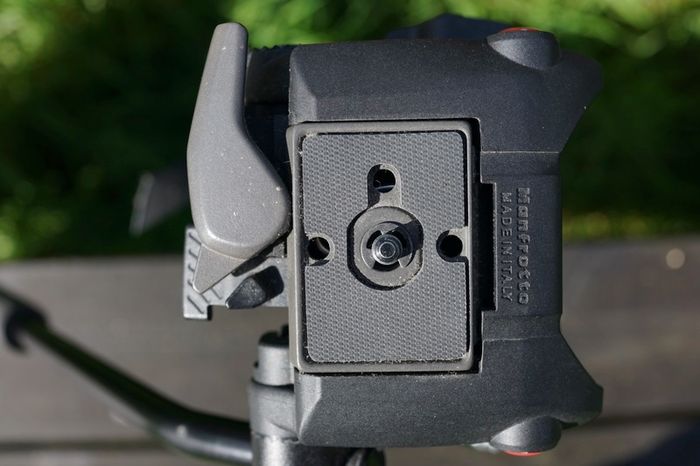Video Monopod + Video Head