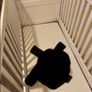 mia cot cotbeds twins mamas and papas Image 2