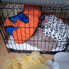small dog cage