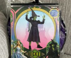 Elphaba Wicked costume