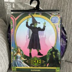Elphaba Wicked costume