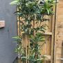 Fake Bamboo 2m tall Image 2