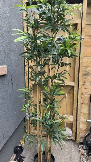 Fake Bamboo 2m tall