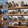 Owl plaque wild goose studio Image 5