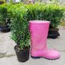Box Hedging Image 4
